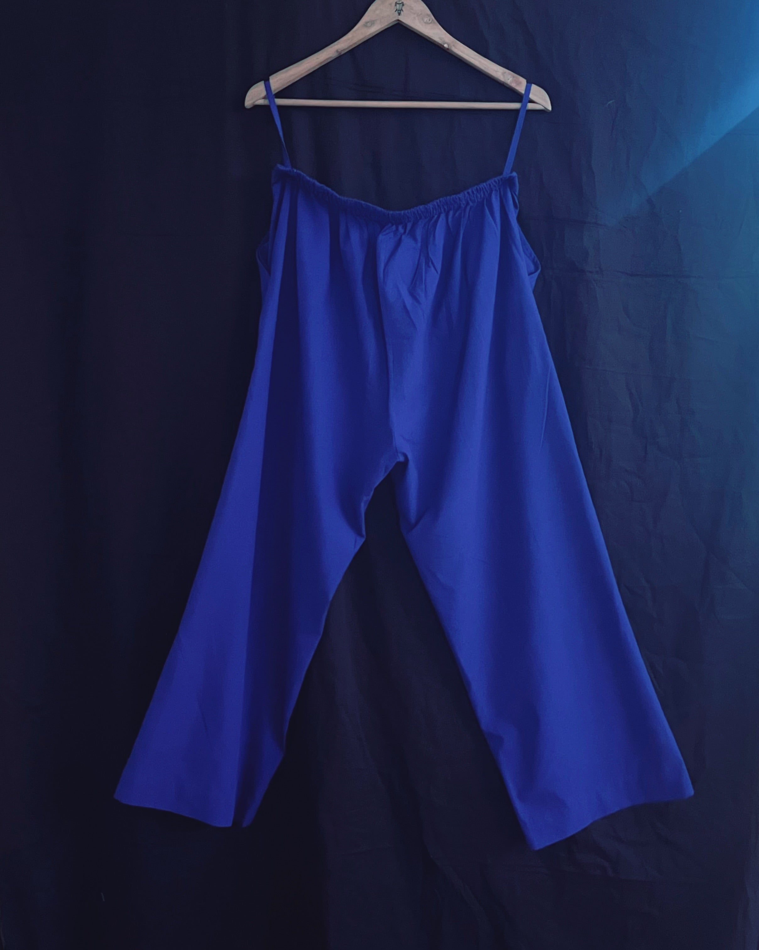 Aamodhini Palazzo Pant (Size - L)